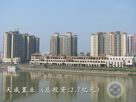 天成置業(yè)